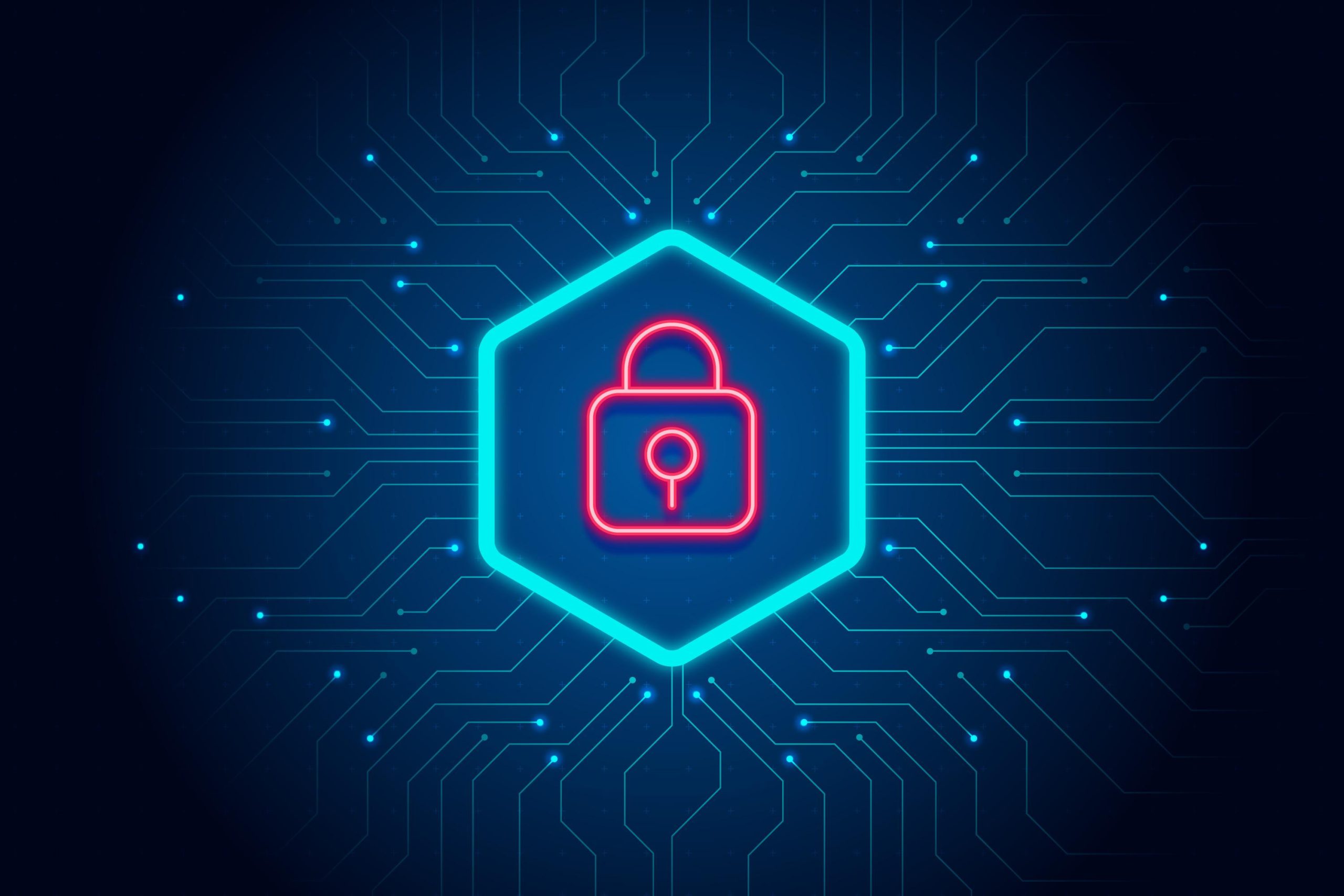 How Businesses Can Protect Their Data
